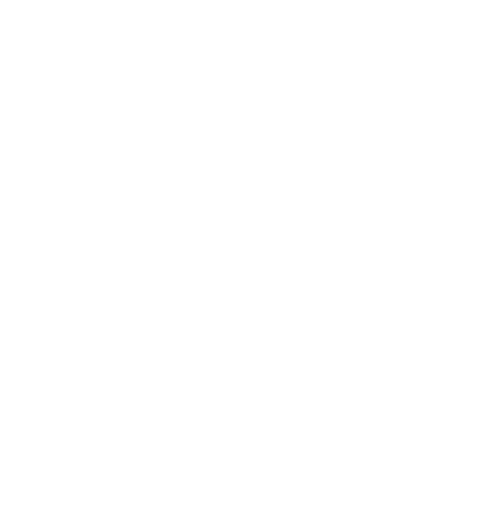 icon-logo-wordpress